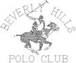 POLO.jpg