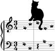 CATMUSIC.jpg