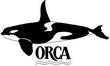 ORCA01.jpg