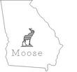 MOOSE1.jpg