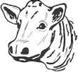 COWHD.jpg