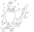 OWL3.jpg