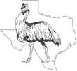 TEXEMU.jpg