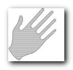 HAND.jpg