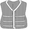 VEST2.jpg